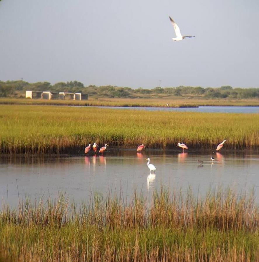 Las Casitas On Magnolia Beach - Casita A Port Lavaca Ngoại thất bức ảnh